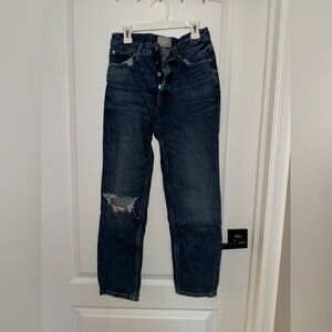 Everlane Classic Blue Denim Cheeky Jean